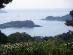  M707 - HYERES - La Polyn�sie - Maison T5